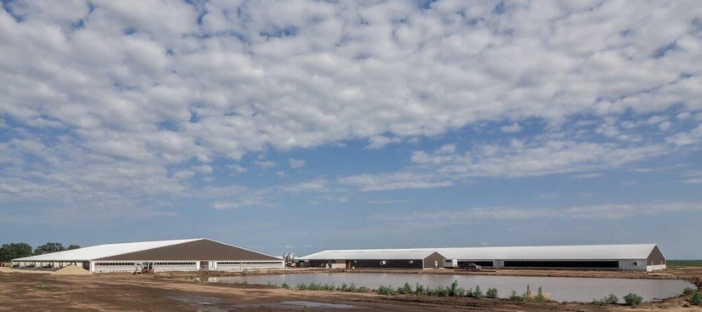Pig barns